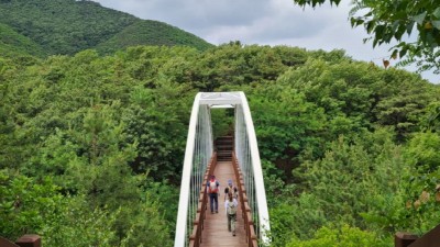 건강, 휴식, 여가생활 챙기는 '산림휴양' 사업에 행정력 집중