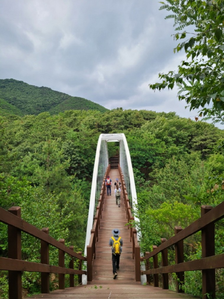 1-1.공원녹지과 기획보도 - 숲길(문수산).jpg