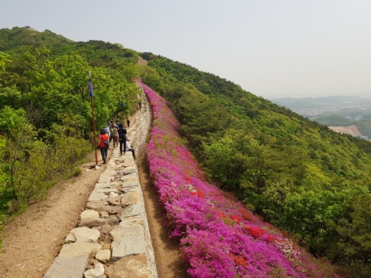 1-2.공원녹지과 기획보도 - 숲길(문수산).jpg