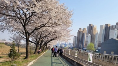 사우동발전협의회, 4월 한 달간 거리미술전 개최