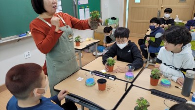 보름초, 테라리움 만들기 체험