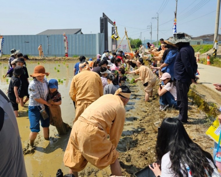 7-1 전통 모내기 한마당.jpg