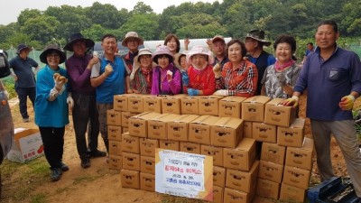 고촌농촌지도자회, 감자 80상자 기부