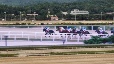 경기도지사배 경주대회 15일 과천시 렛츠런파크서 개최