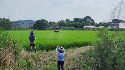 벼 병해충 친환경 항공방제 잘 마침