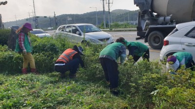 대곶면 새마을부녀회, 관내 소공원 제초 작업