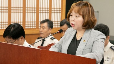 대일항쟁기 강제동원 피해자 지원 조례, 상임위 통과