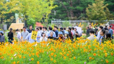 고양가을꽃축제 관람객들 북적... 10월 9일까지 일산호수공원