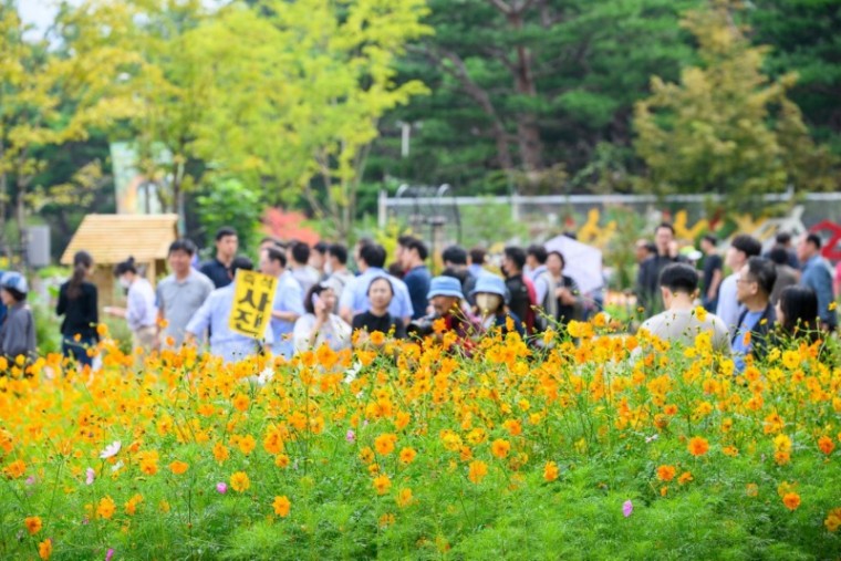 1.일산호수공원에서 2023고양가을꽃축제를 관람 중인 방문객들.jpg