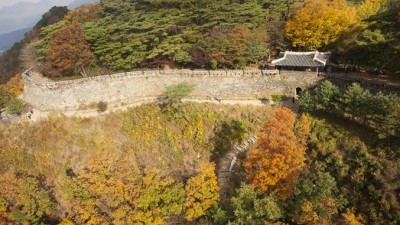 [주말엔] 가평 잣향기 푸른숲 등 경기도 7개 숲 ‘대한민국 100대 명품숲’ 선정