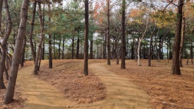 인천 서구, 검단ㆍ청라ㆍ당하 등 공원 13곳에 맨발걷기 산책로 조성