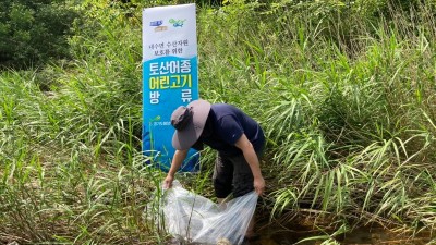 경기도가 방류한 버들치, 가평군 하천에서 잘 살고 있어요