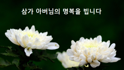 [부고] 김포 사우동 조재윤씨 부친상... 1월 4일 발인