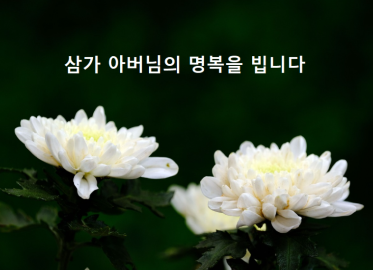 부친시부상 근조.png