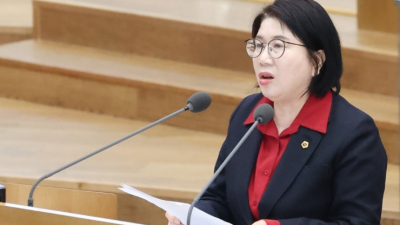 “고도제한 규제완화 안 되면 분당신도시 상대적으로 큰 피해”