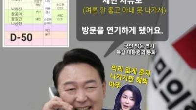 [독구다이] 해외 순방 못 나가는 그 남자의 속사정