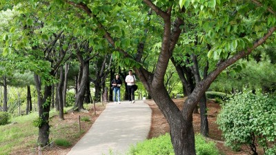 연간 180만명 찾는다... 부천 상동호수공원, 녹색 쉼터로 주목