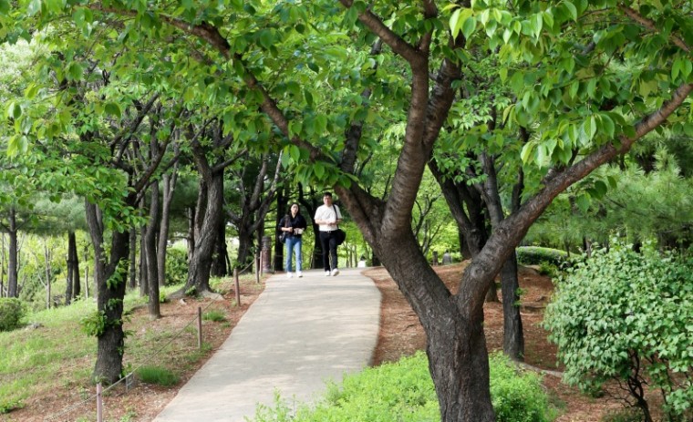 2. 산책로가 잘 조성된 부천 상동호수공원. 시민들이 여유롭게 산책을 즐기고 있다.JPG