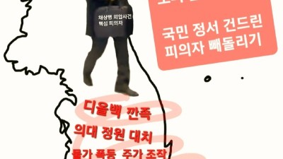 [독구다이] 악재를 대형 악재로 덮은 용산... 국민 정서 건드린 이종섭 출국