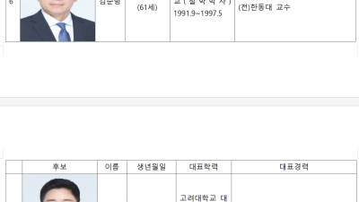 조국혁신당, 정당 득표율 24.25%... 비례대표 12석 확보