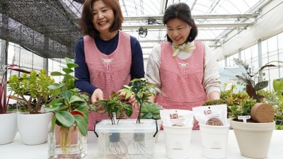 도 농기원, 성남시민농원 ‘제1회 경기도 도시농업의 날’ 행사장에서 압축배양토 이용 화분 심기 체험 및 의견수렴