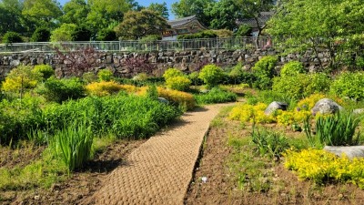 김포시 곳곳 초화원 초화류 및 관목 식재 완료