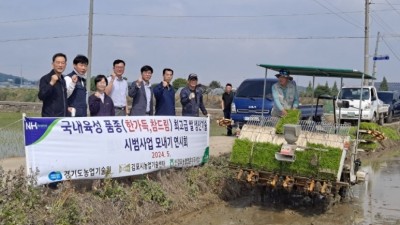 김포지역 적응 벼 신품종 ‘한가득’ 모내기 연시회 열려
