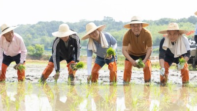 김동연, 여주 모내기 현장 방문... 농업인 격려