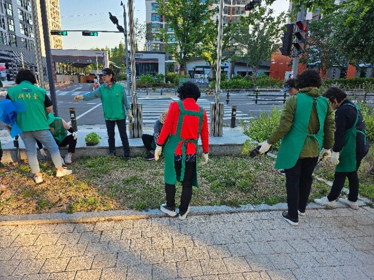 1-1. 통진읍새마을부녀회, 48국도변 환경정비작업 마쳐.jpg