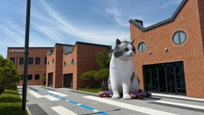 경기도 고양이 입양센터 개관 1개월 동안 12마리 입양 시켜