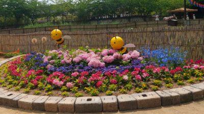 인천 월미공원 산수국 만개... 7월까지 힐링 산책