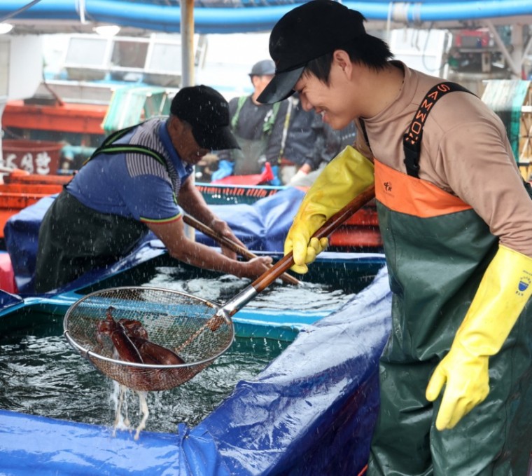 제1회 신진도 오징어 수산물 축제 개최 1(230709).JPG