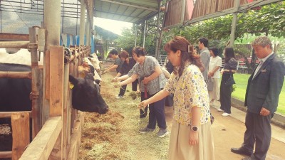 김포시어린이집연합회 ‘송아지는 내 친구’ 현장학습 체험