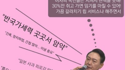 [만평] 30%를 향한 외침과 국민염장