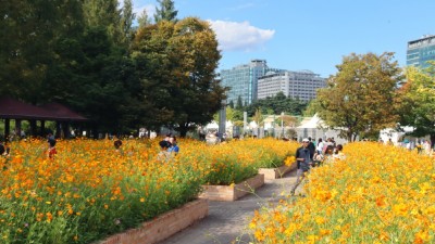 [가을N] 고양가을꽃축제... 10/1~13 일산호수공원