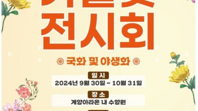 [가을N] 계양아라온 가을꽃 전시회... 10월 31일까지