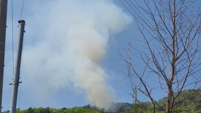 <속보> 문수산 화재 발생... 진압 중