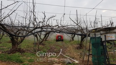 김포시 농업기술센터, 과수원 월동 병해충 방제 시기 안내