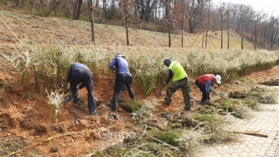 김포시, 지속가능한 산림경영 기반 구축을 위한 조림사업 추진