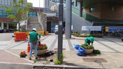 구래동, 여름꽃 옮겨심기로 화사한 도시 연출