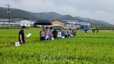 외래품종 대체 벼 신품종육성 현장평가회 열려...